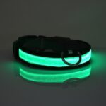 HALO MINI Illuminated Pet Collar - Image 5