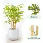 mcc direct Artificial Bamboo Tree, Decorative Artificial Plant with Plastic Planter and Artificial Moss for House Bedroom Office