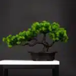 27cm Artificial Pine Bonsai Tree with Pot | Realistic Fake Plant Desktop Decoration | Plastic Simulation Landscape Tree for Home Office Hotel and Room Decor - Image 7