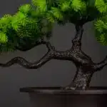 27cm Artificial Pine Bonsai Tree with Pot | Realistic Fake Plant Desktop Decoration | Plastic Simulation Landscape Tree for Home Office Hotel and Room Decor - Image 5