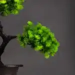 27cm Artificial Pine Bonsai Tree with Pot | Realistic Fake Plant Desktop Decoration | Plastic Simulation Landscape Tree for Home Office Hotel and Room Decor - Image 4