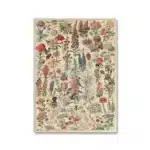 Vintage Adolphe Millot Encyclopedia Poster | Botanical Mushrooms Herbs Flowers Insect Canvas Print | Wall Art Decor Living Room Home - Image 16