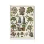Vintage Adolphe Millot Encyclopedia Poster | Botanical Mushrooms Herbs Flowers Insect Canvas Print | Wall Art Decor Living Room Home - Image 8