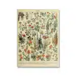 Vintage Adolphe Millot Encyclopedia Poster | Botanical Mushrooms Herbs Flowers Insect Canvas Print | Wall Art Decor Living Room Home - Image 7