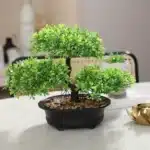 Artificial Bonsai Tree Zen Garden Accent PP Material Black Planter Home Office Party Decoration Desktop Artificial Plant 1 Piece - Image 8