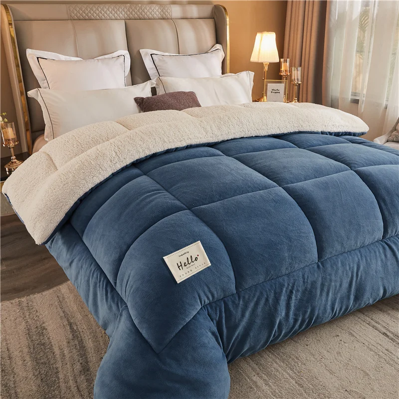 Sad43b18204154cf1830a5d1a17c2a69ae-1.webp New Thick Milk Fleece Warm Blanket for Winter Artificial Lamb Cashmere Duvet Comforter Soft Warmth Weighted Blankets Quilt Core - Image 1