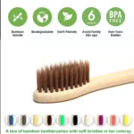 10/30/50 Pack Natural Bamboo Toothbrushes eco friendly Family Hotel  Charcoal Bamboo Wood Teethbrush for Adults Kids Child - Image 2