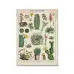 Vintage Adolphe Millot Encyclopedia Poster | Botanical Mushrooms Herbs Flowers Insect Canvas Print | Wall Art Decor Living Room Home - Image 15