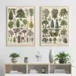 Vintage Adolphe Millot Encyclopedia Poster | Botanical Mushrooms Herbs Flowers Insect Canvas Print | Wall Art Decor Living Room Home - Image 5