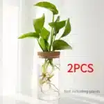 Desktop Hydroponic Glass Planter Vase | Plant Propagation Station for Home Decor - Image 8