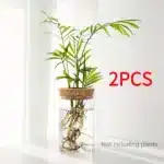 Desktop Hydroponic Glass Planter Vase | Plant Propagation Station for Home Decor - Image 9