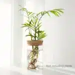 Desktop Hydroponic Glass Planter Vase | Plant Propagation Station for Home Decor - Image 7