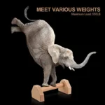 Wooden Push-Up Stand Bars - Non-Slip Parallettes Handles for Calisthenics, Strength Training & Home Fitness - Image 3
